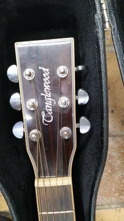 TangleWood acoustic guitar &amp; Hard Case - Mint Condition