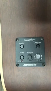 TangleWood acoustic guitar &amp; Hard Case - Mint Condition