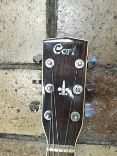 Cort acoustic non electric guitar