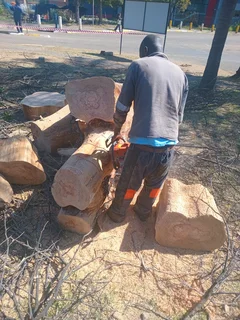 Brits tree felling 0734130961