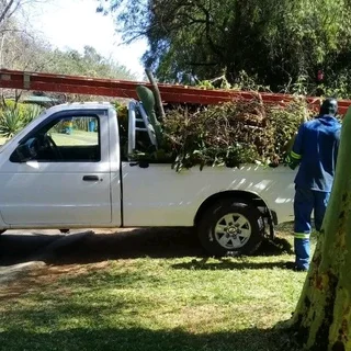 Brits tree felling 0734130961