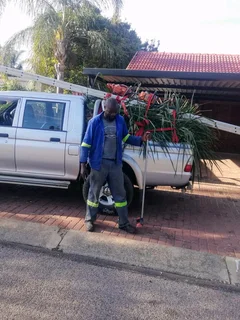 Brits tree felling 0734130961