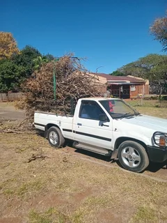 Hartbeespoort tree felling  0734130961