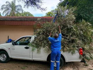Nelspruit tree felling services  0734130961