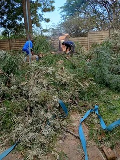 Nelspruit tree felling services  0734130961