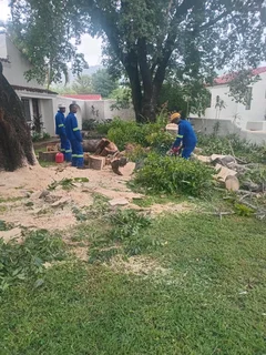 Nelspruit tree felling services  0734130961