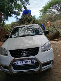 Brits tree felling  0734130961