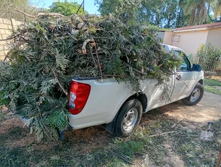 Brits tree felling  0734130961