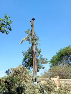 Brits tree felling  0734130961