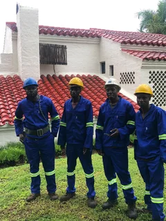 Brits tree felling  0734130961