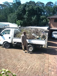 EDDIE&#39;S TREE FELLING