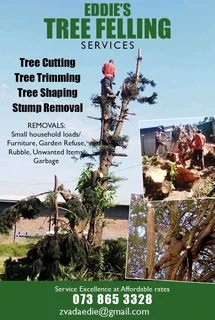 EDDIE&#39;S TREE FELLING