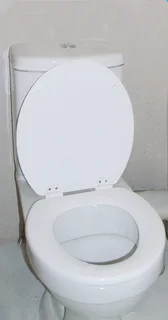 Save and secure furnished garden cottage suitable for one , near Emmerentia Dam