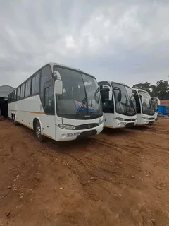 White Scania buses sale