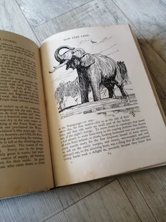 Vintage All the mowgli stories (The Jungle book) R150