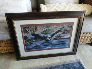 Framed Eagle Print – 80cm x 55cm R400 NEG