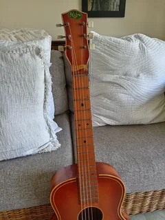 Vintage Bellini Acoustic R950 NEG