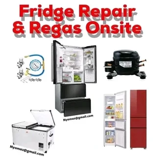 Fridfes Repair Re Gas