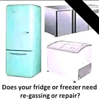 Fridges Repairs