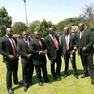 Bodyguard vip protection