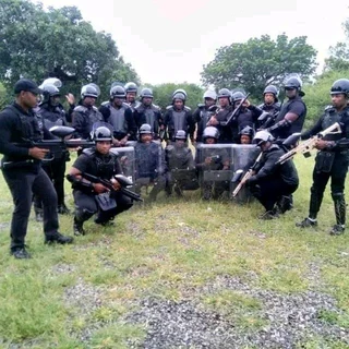 Bodyguard vip protection