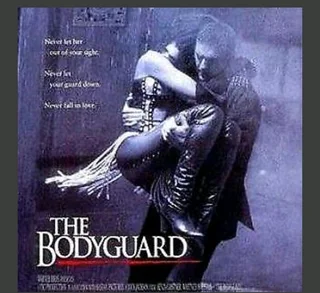 Bodyguard and VIP protection