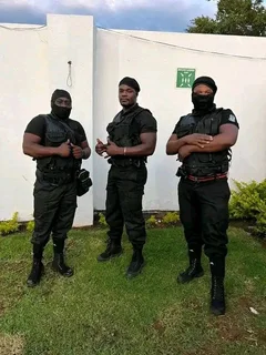 Bodyguard and VIP protection
