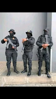 Bodyguard and VIP protection