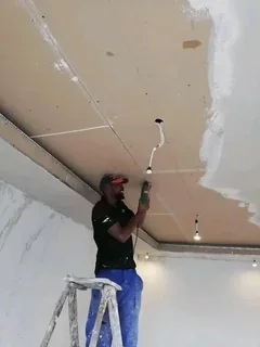 Painter. Handyman  and Carpenter