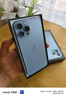 iPhone 13 pro max 256GB