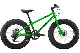 Fat Tire Mountain Bike 29 inch