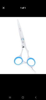 Proffesional hair cutting scissors (R250)