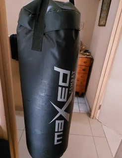 Maxed punching bag for sale