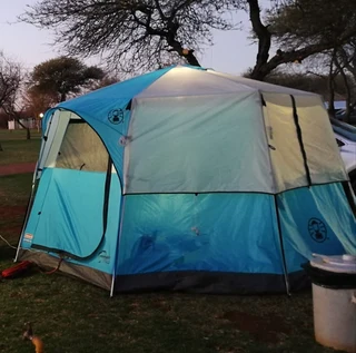 Colemen 8 man tent