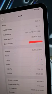 Apple iPad Pro M4 / 11-inch 256GB / Wifi &amp; Cellular