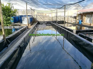 Growbed Liners - Aquaagri Evander, Mpumalanga