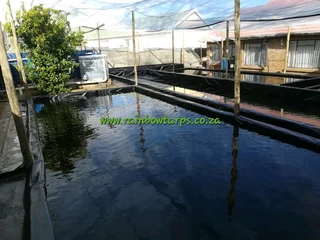 GROWBED LINERS - AQUAAGRI EVANDER, MPUMALANGA