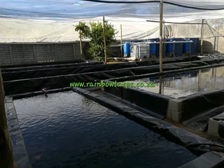 GROWBED LINERS - AQUAAGRI EVANDER, MPUMALANGA