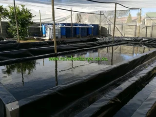 GROWBED LINERS - AQUAAGRI EVANDER, MPUMALANGA