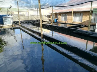 GROWBED LINERS - AQUAAGRI EVANDER, MPUMALANGA