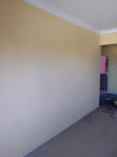 Willard jnr projects