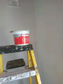 Willard jnr projects