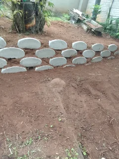 Willard jnr projects