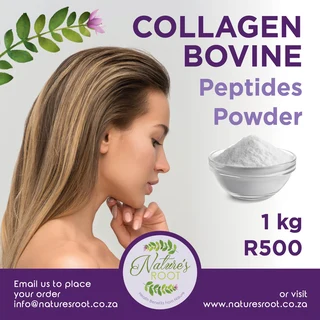 Collagen powder