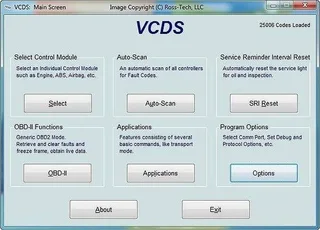 VCDS HEX-V2 Diagnostic Cable V25.3