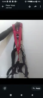 Harness, and rope drims