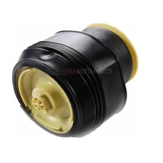 BMW Rear Left/Right Air Suspension Spring