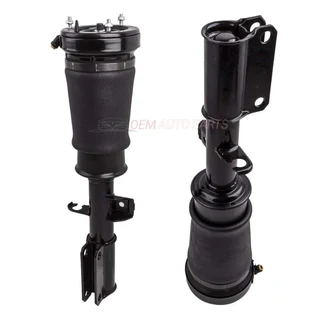 Give Away! BMW X5 E53 Front Right / Left Air Suspension Strut Shock
