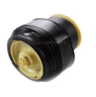 Give Aways! BMW Rear Left/Right Air Suspension Spring