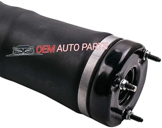 Mercedes R Class W251 Front Air Suspension Shock Strut